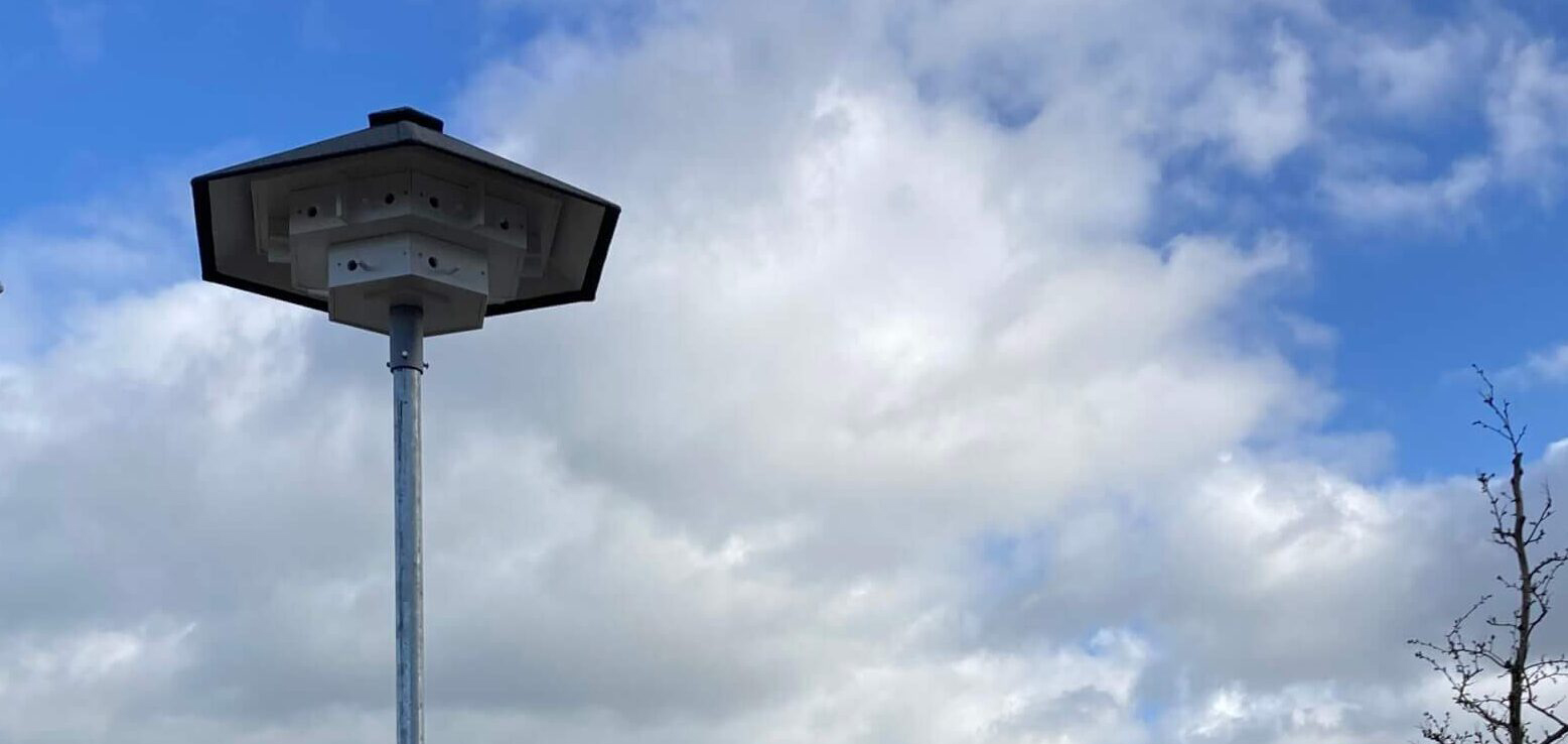 Huismuskasten-1-1 Huismuskasten-1-1