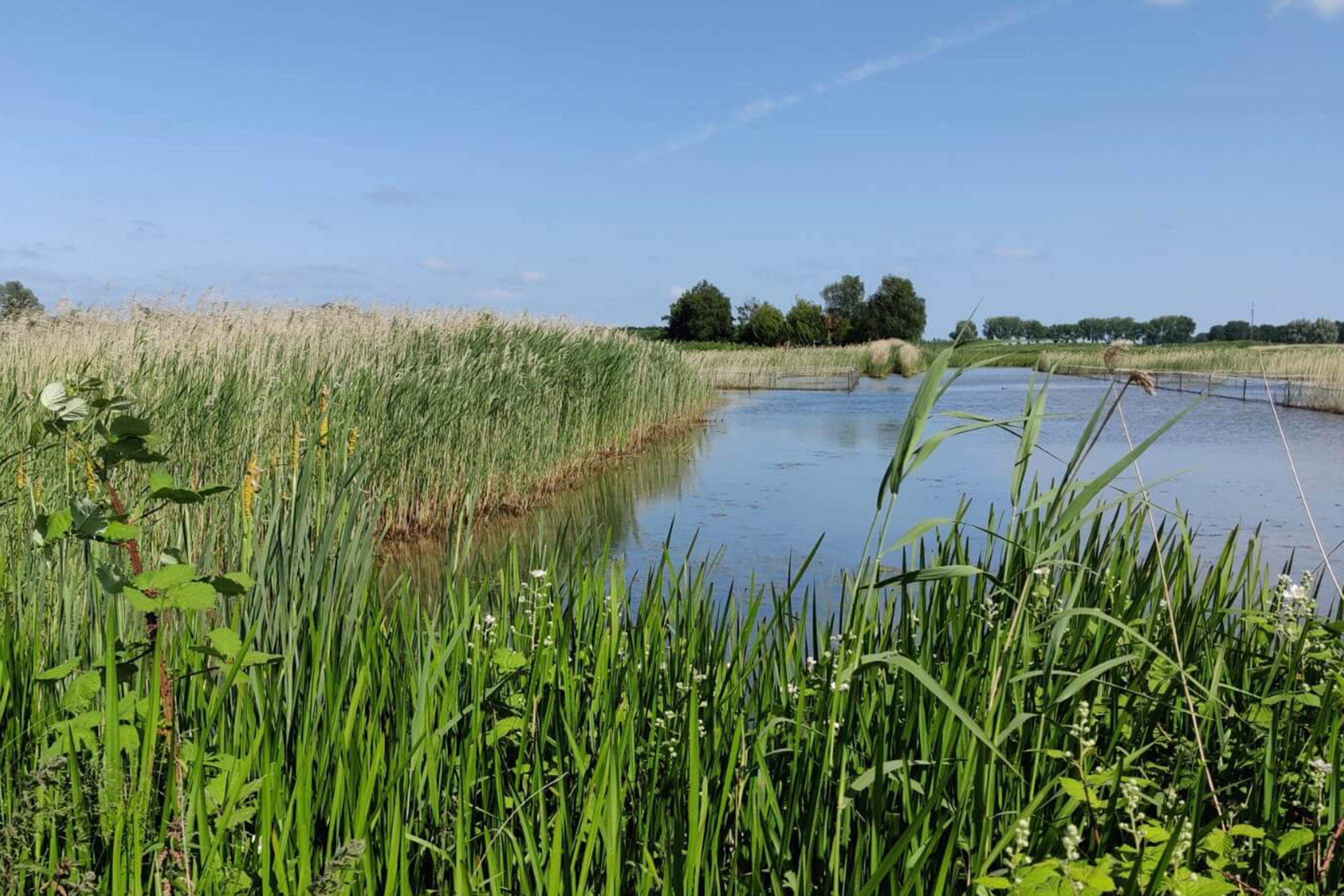 ecologisch advies