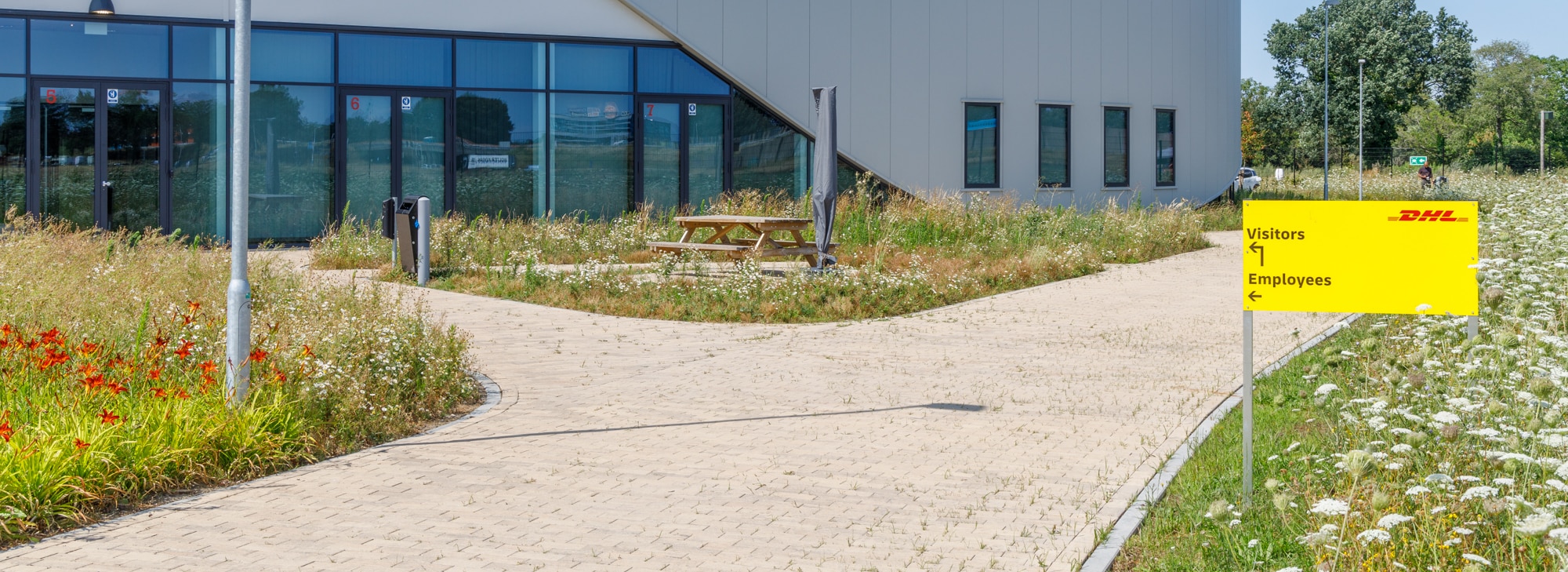 Kruidenvegetatie DHL